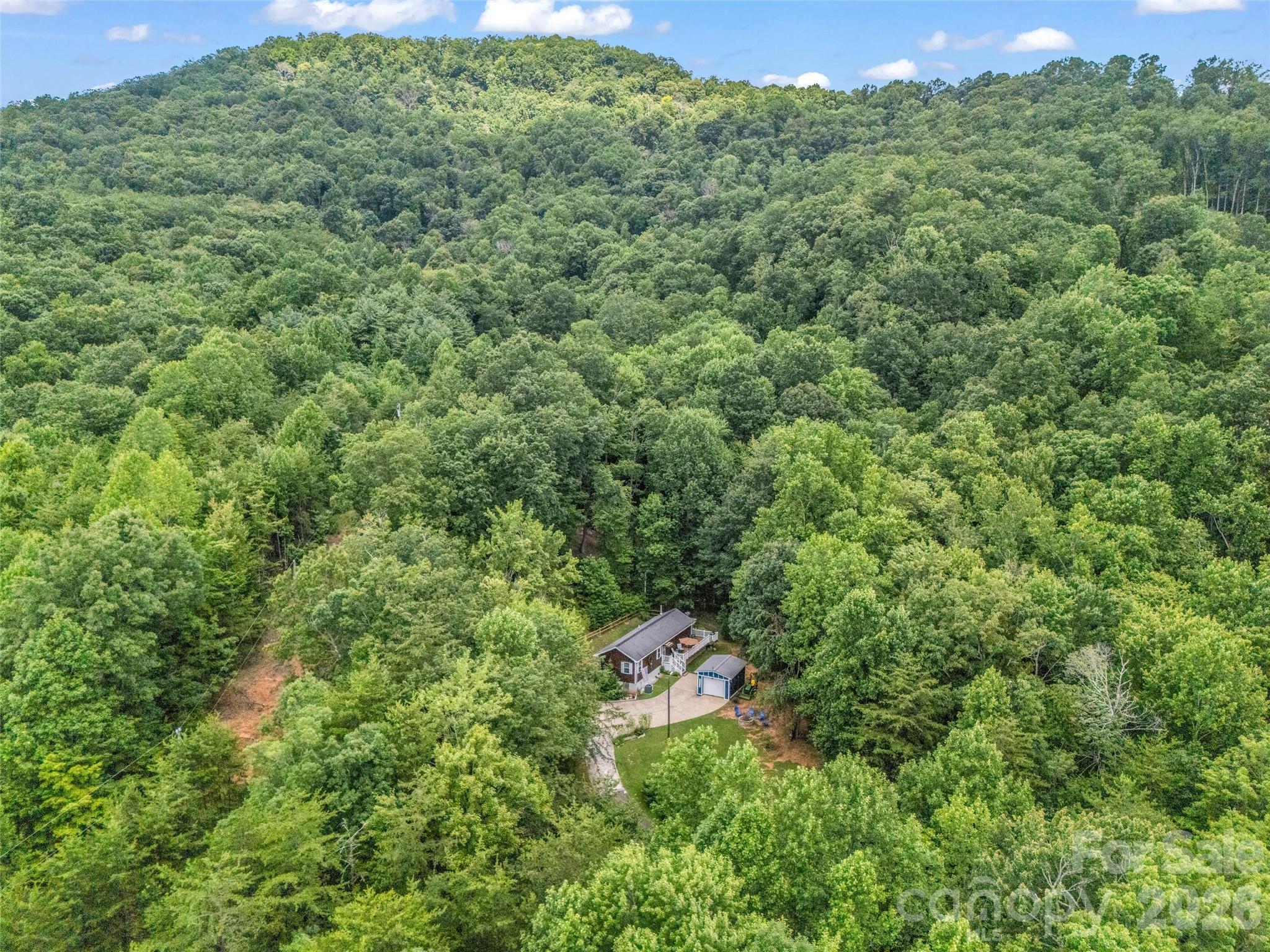 479 Camp Hill Road Mill Spring, NC 28756 - Photo 45 of 48
