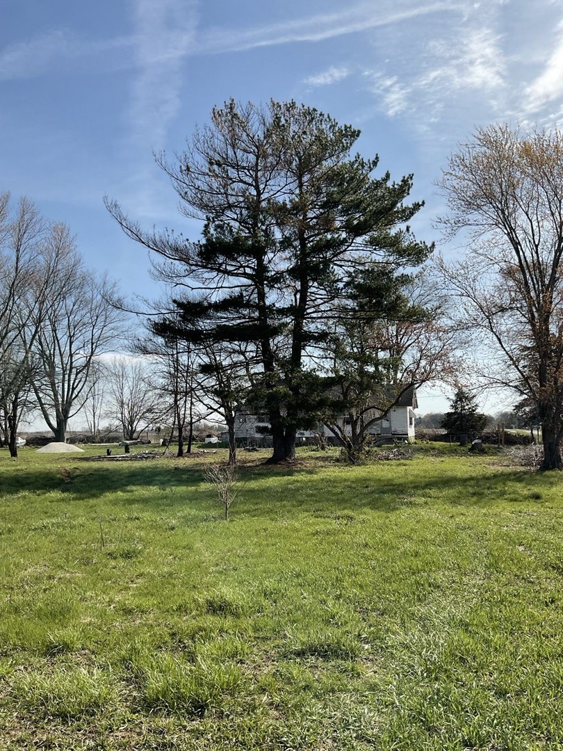 8809 East 3100 N Road Potomac, IL 61865 - Photo 6 of 27