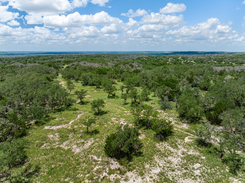 1632 Link, Unit 3 Doss, TX 78618 - Photo 11 of 38 a view of a bunch of trees