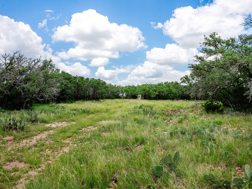 1632 Link, Unit 3 Doss, TX 78618 - Photo 13 of 38 a view of a garden
