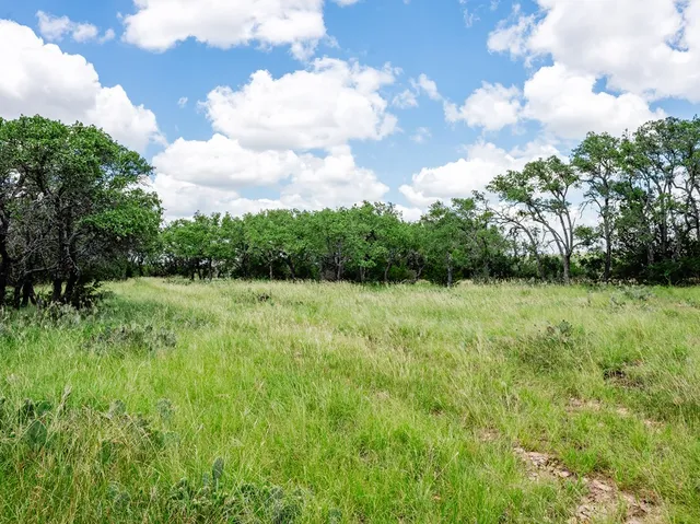 a view of a bunch of trees