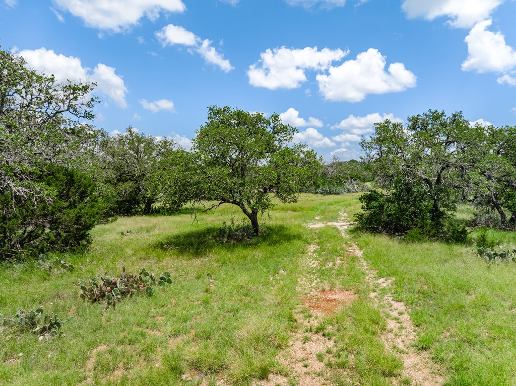 1632 Link, Unit 3 Doss, TX 78618 - Photo 24 of 38 a view of yard with green space