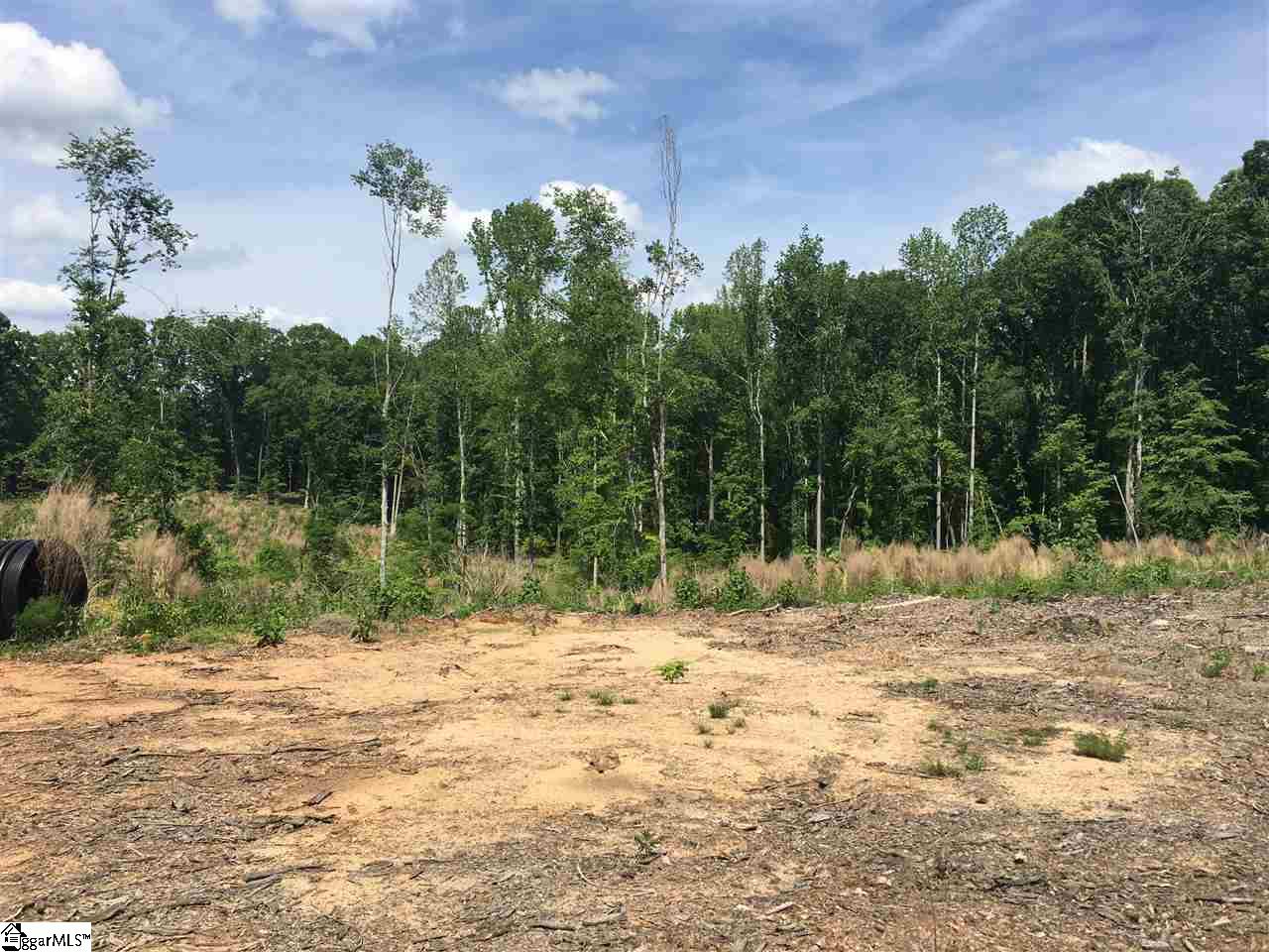 697 Knickerbocker Estates Road Gray Court, SC 29645 - Photo 2 of 4 Gallery Image 2
