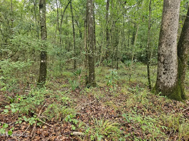 $380,000 | Ms-35, Mount Olive, MS 39119