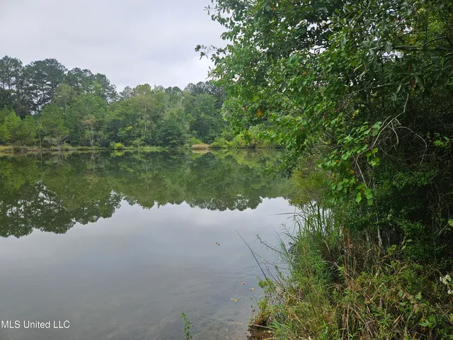 $380,000 | Ms-35, Mount Olive, MS 39119