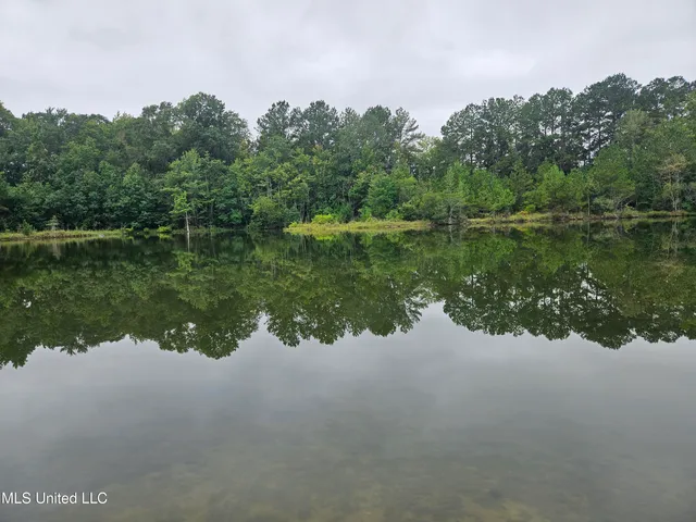 $380,000 | Ms-35, Mount Olive, MS 39119