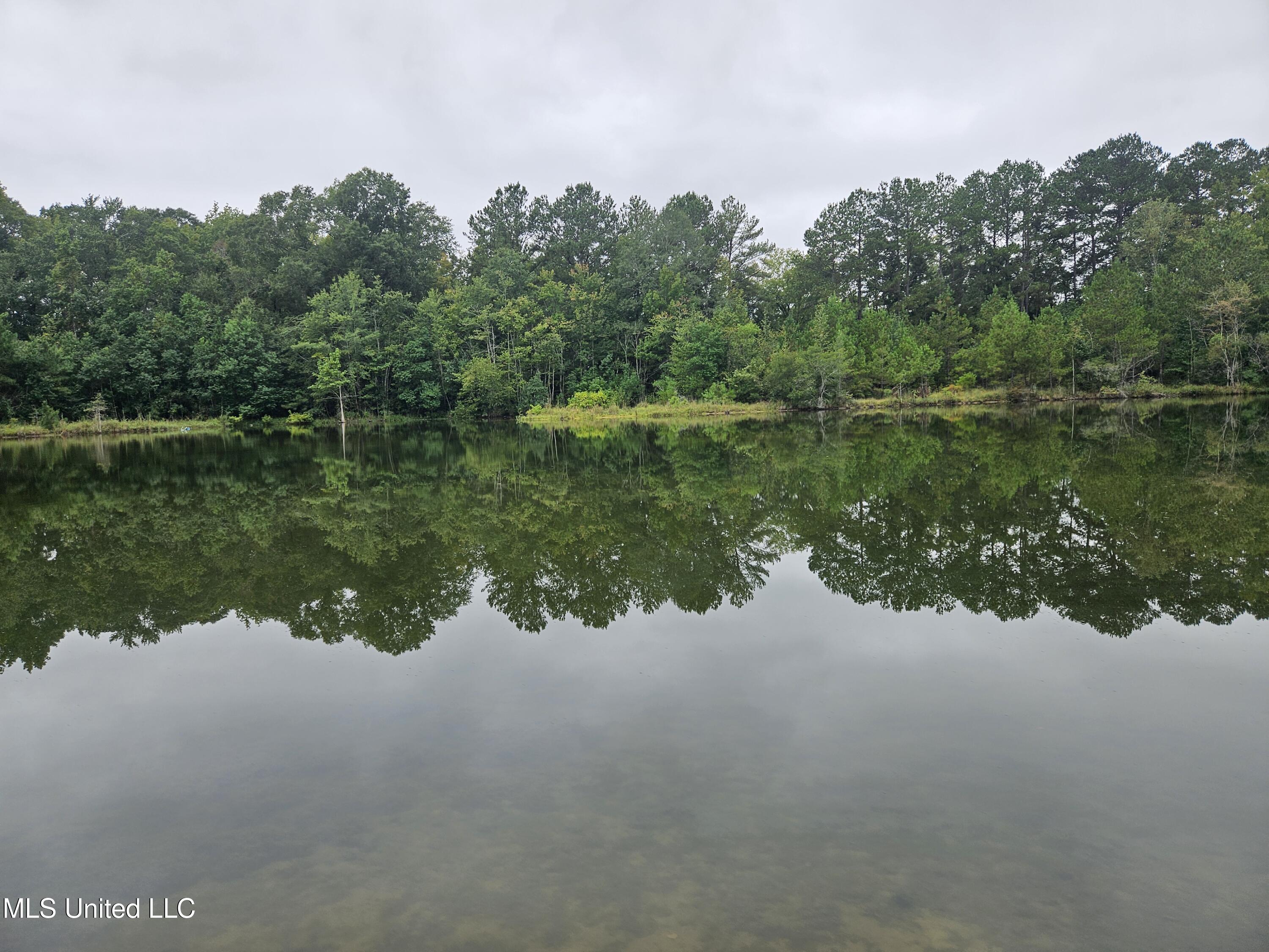 Ms-35 Mount Olive, MS 39119 - Photo 13 of 81 20250830_110105