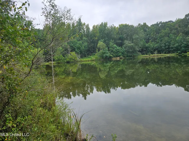 $380,000 | Ms-35, Mount Olive, MS 39119