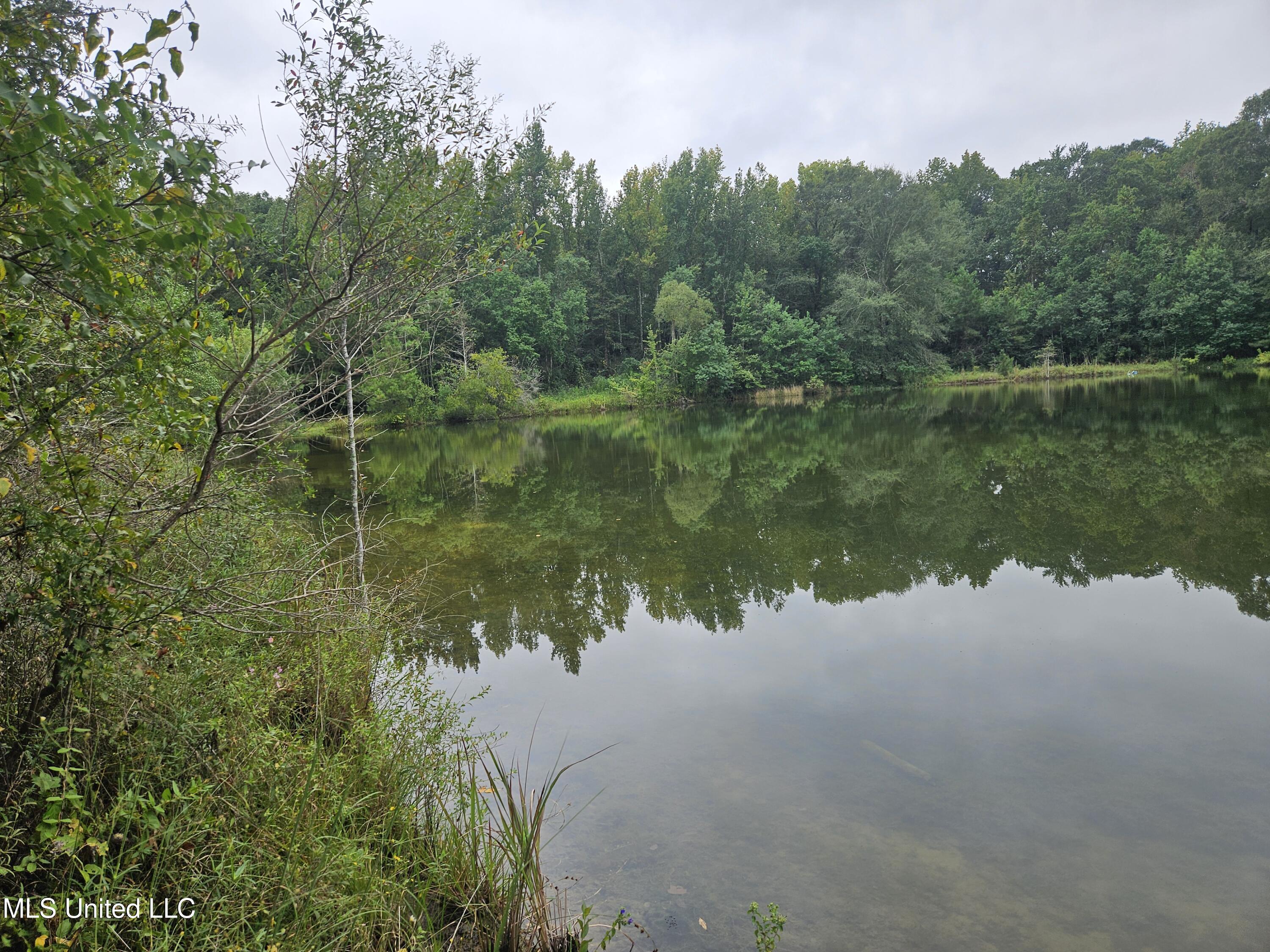 Ms-35 Mount Olive, MS 39119 - Photo 14 of 81 20250830_110107