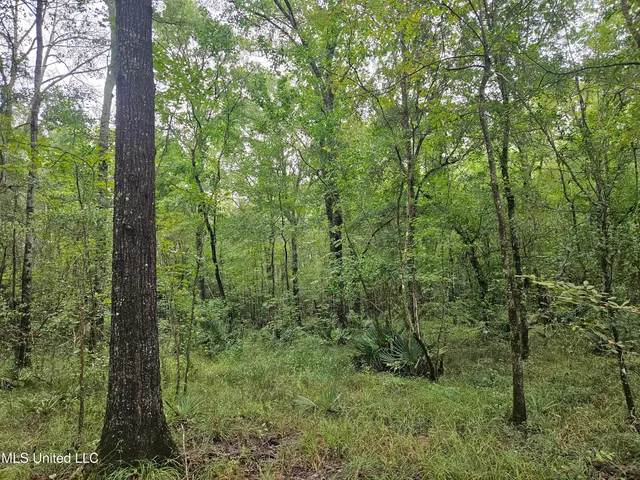 $380,000 | Ms-35, Mount Olive, MS 39119