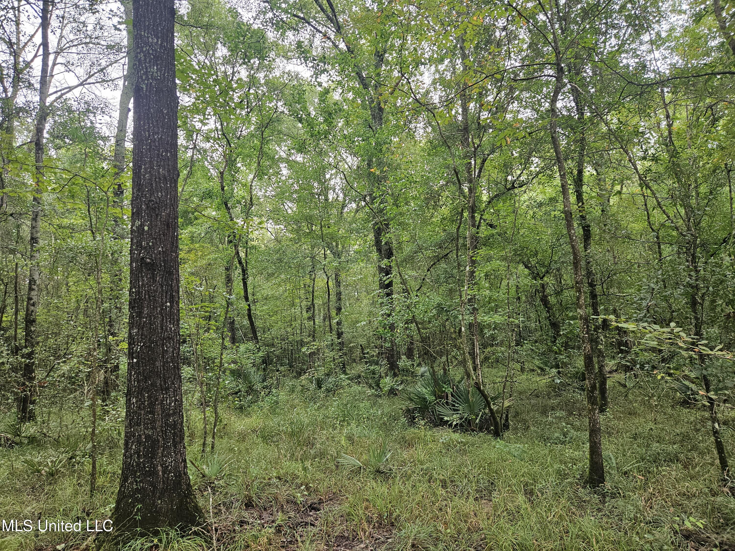 Ms-35 Mount Olive, MS 39119 - Photo 16 of 81 20250830_110306