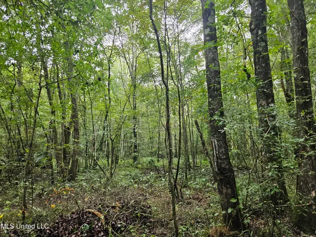 $380,000 | Ms-35, Mount Olive, MS 39119