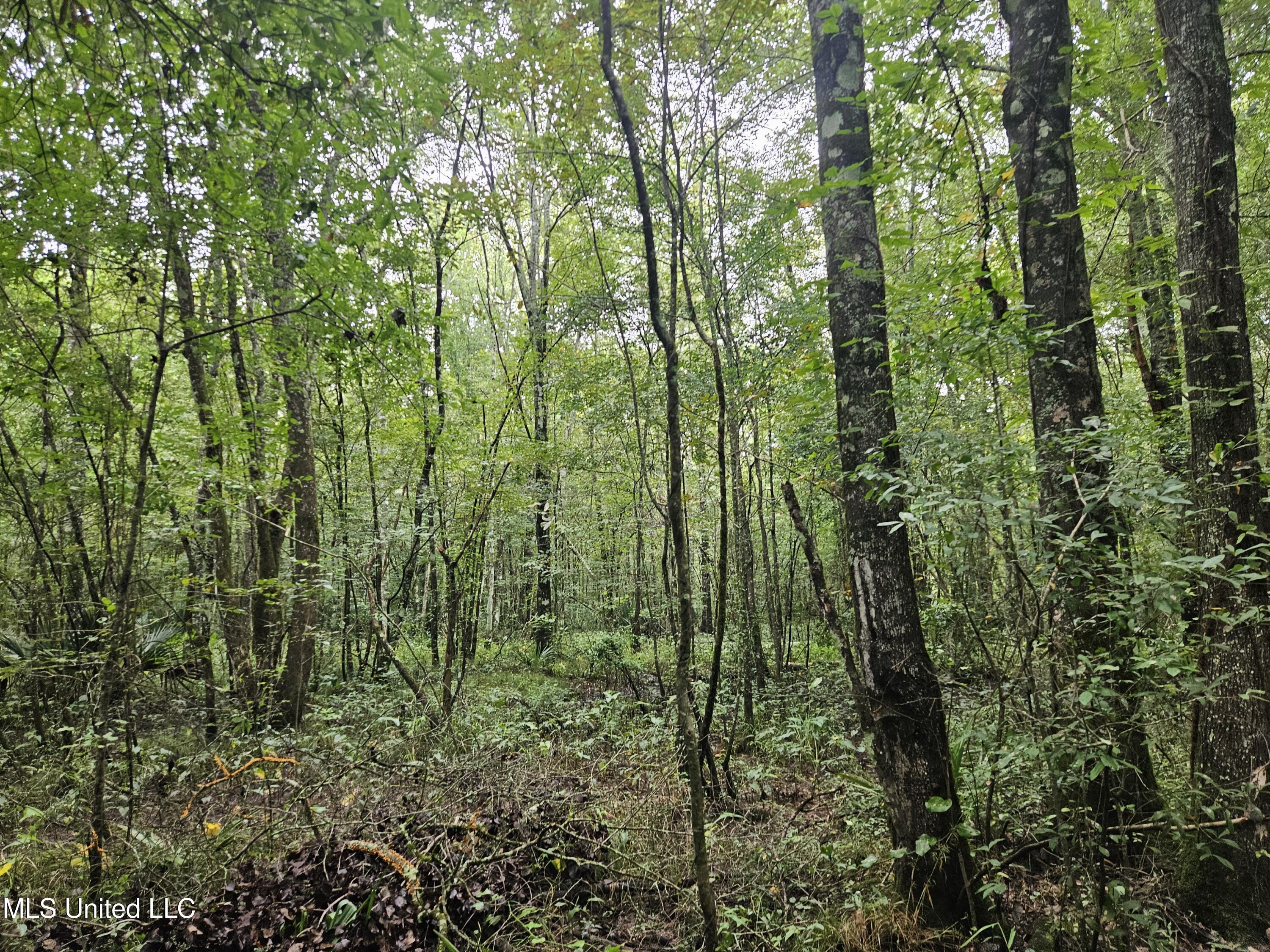 Ms-35 Mount Olive, MS 39119 - Photo 19 of 81 20250830_110527