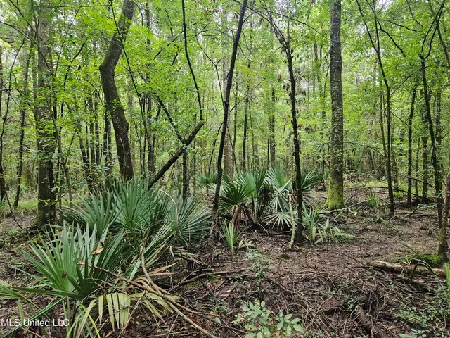 $380,000 | Ms-35, Mount Olive, MS 39119