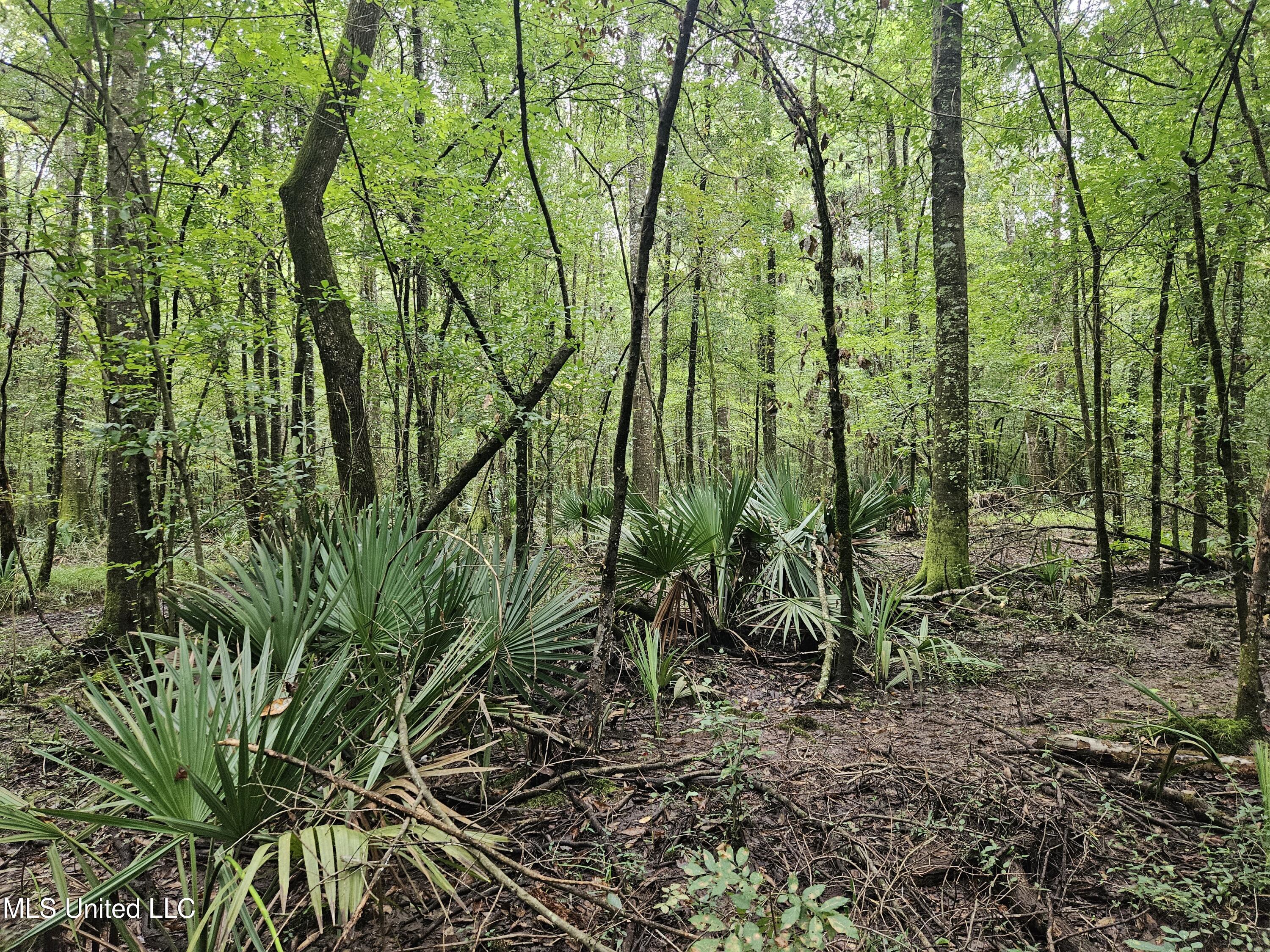 Ms-35 Mount Olive, MS 39119 - Photo 20 of 81 20250830_110548
