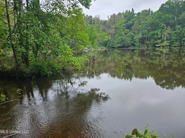 $380,000 | Ms-35, Mount Olive, MS 39119