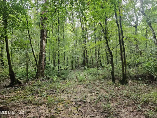 $380,000 | Ms-35, Mount Olive, MS 39119