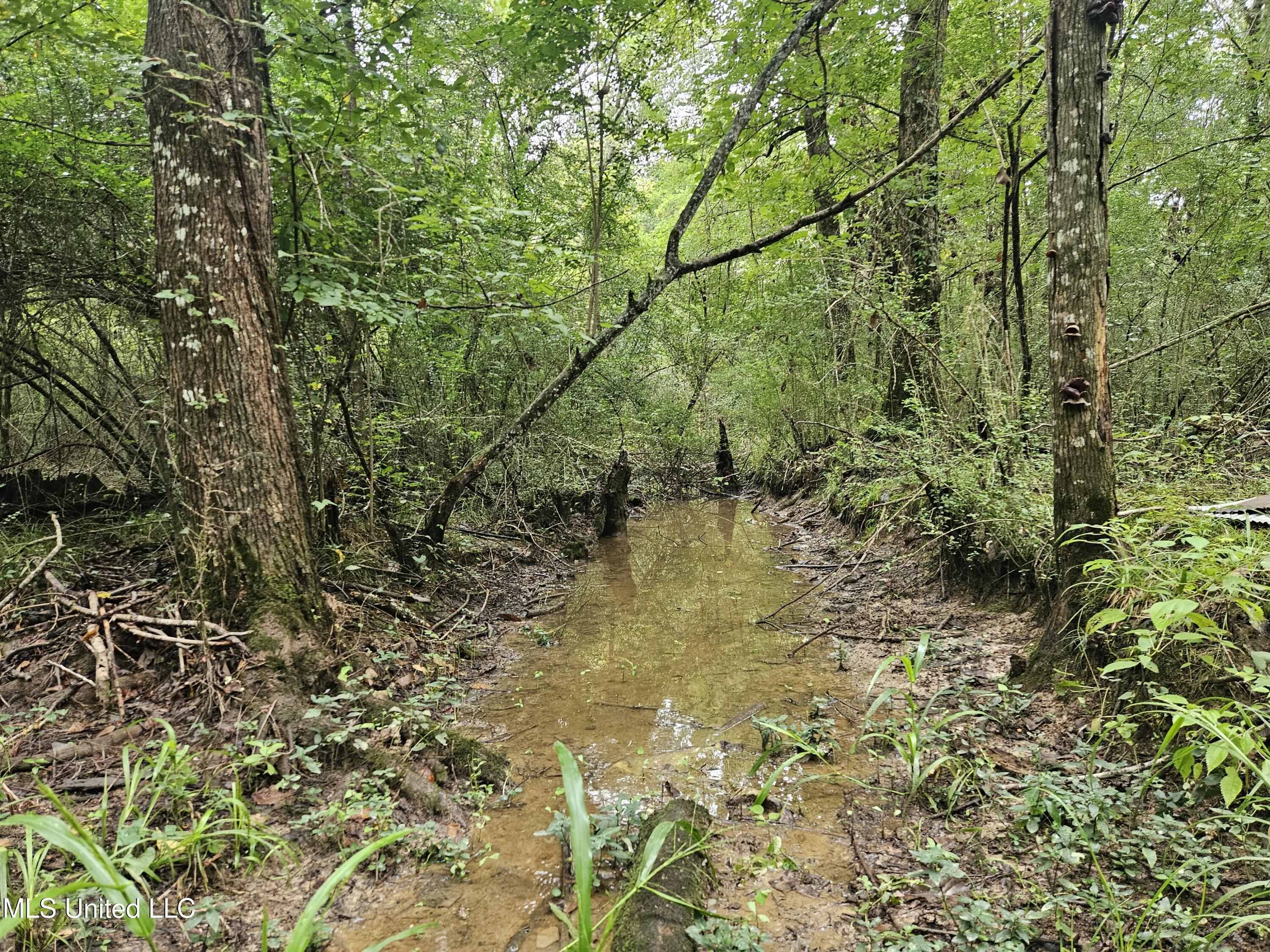 Ms-35 Mount Olive, MS 39119 - Photo 22 of 81 20250830_111053