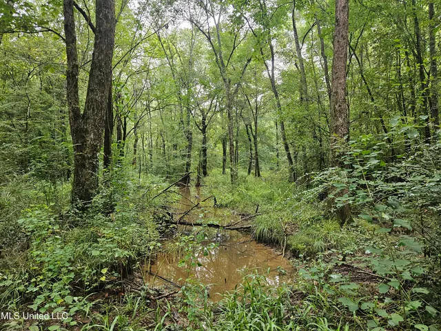 $380,000 | Ms-35, Mount Olive, MS 39119