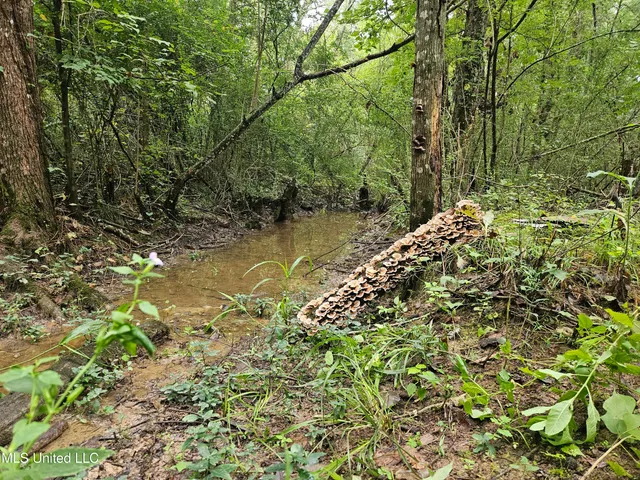 $380,000 | Ms-35, Mount Olive, MS 39119