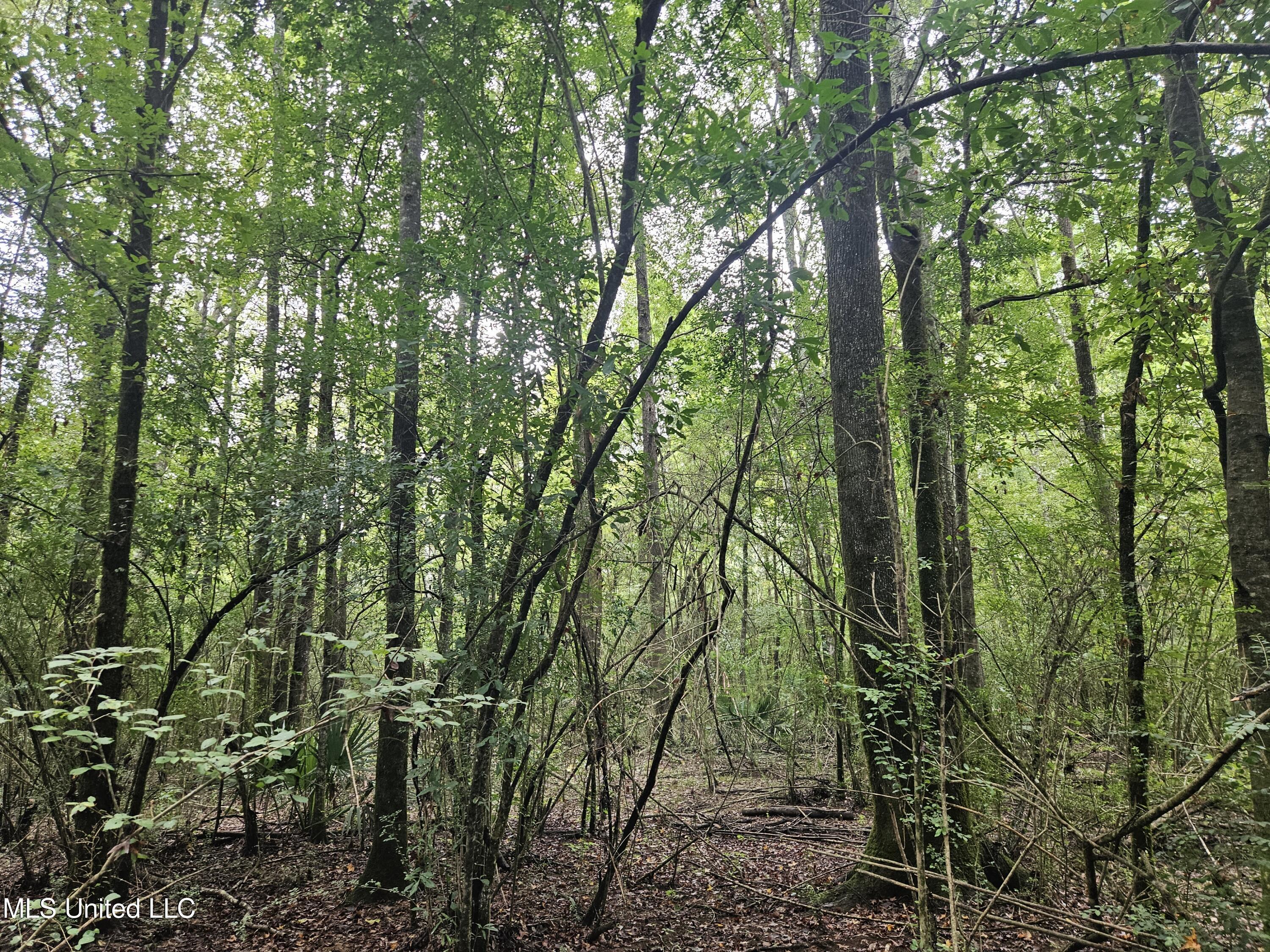 Ms-35 Mount Olive, MS 39119 - Photo 28 of 81 20250830_112009