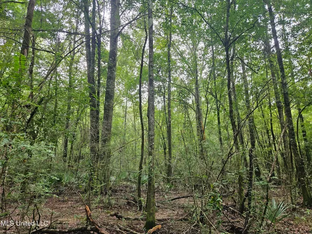 $380,000 | Ms-35, Mount Olive, MS 39119