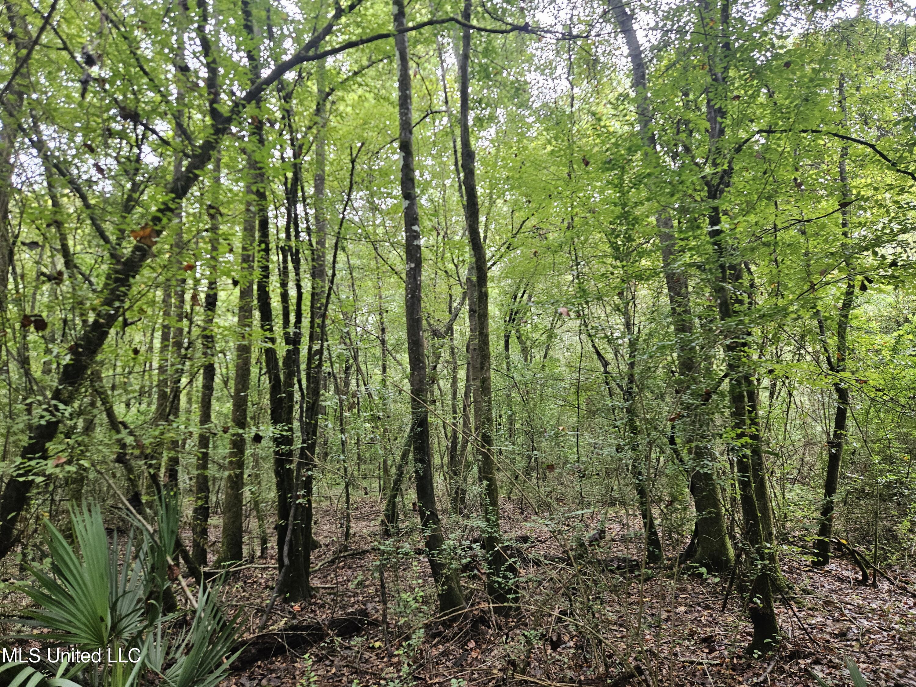 Ms-35 Mount Olive, MS 39119 - Photo 30 of 81 20250830_112149