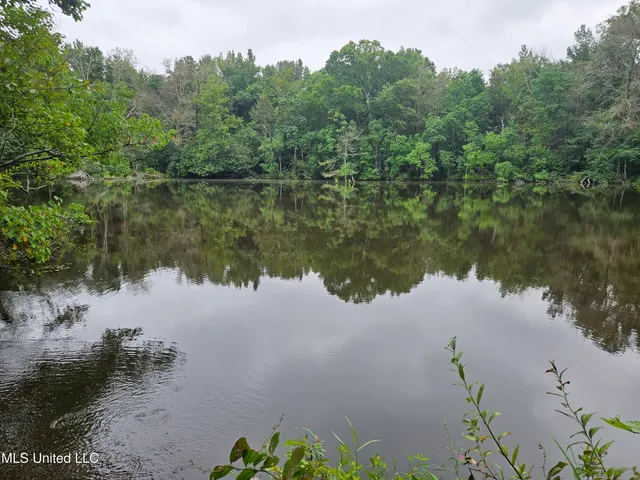 $380,000 | Ms-35, Mount Olive, MS 39119