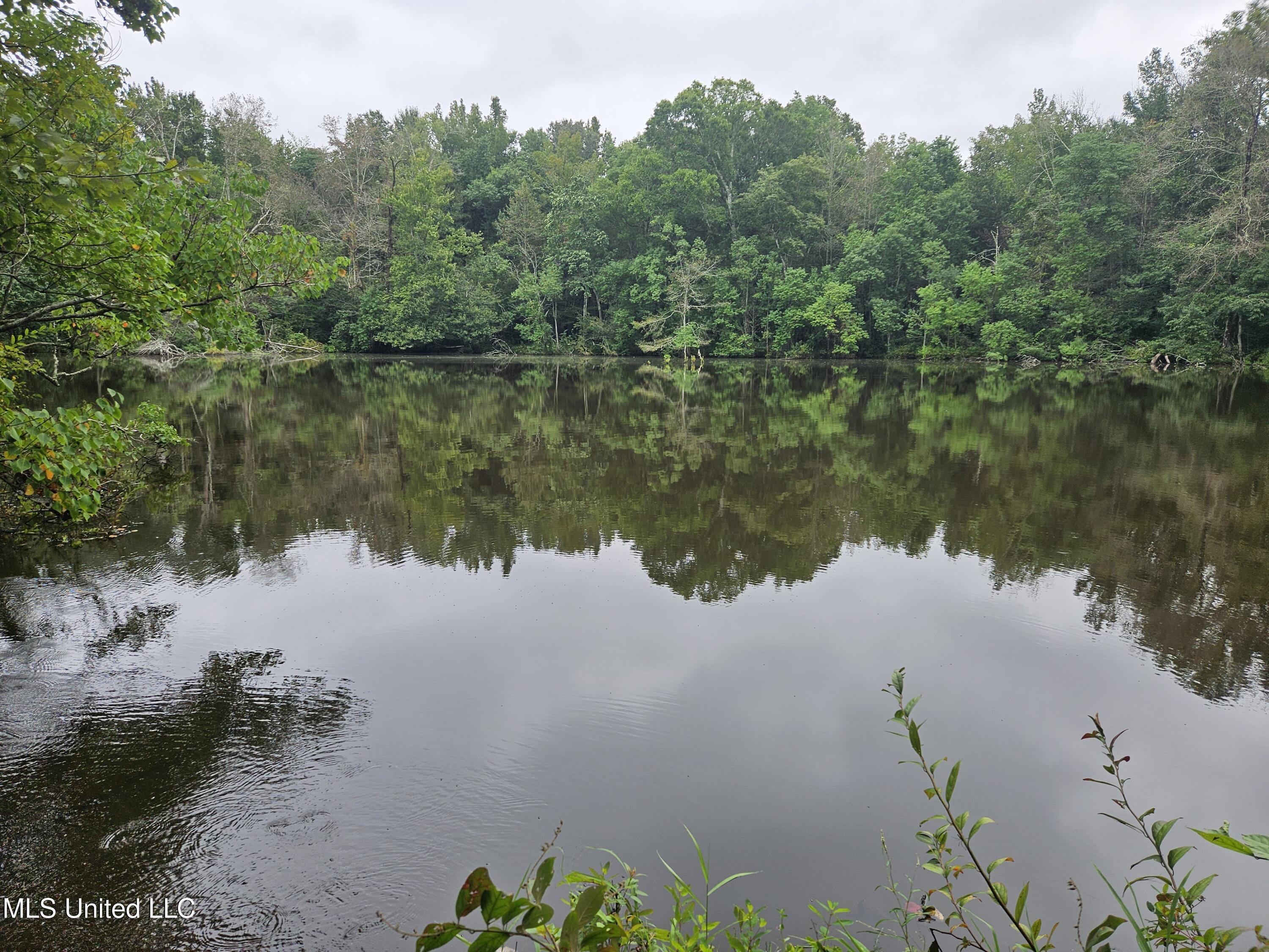 Ms-35 Mount Olive, MS 39119 - Photo 3 of 81 20250830_105621
