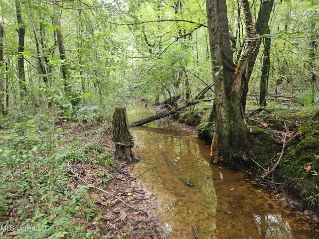 $380,000 | Ms-35, Mount Olive, MS 39119