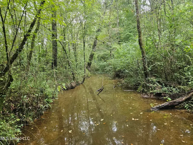 $380,000 | Ms-35, Mount Olive, MS 39119