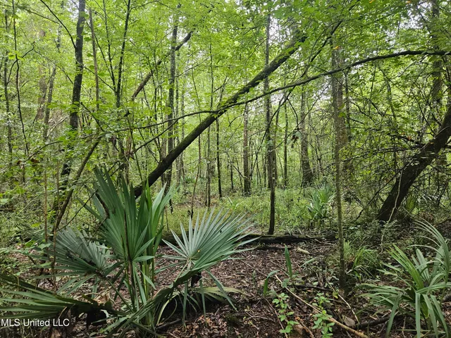 $380,000 | Ms-35, Mount Olive, MS 39119