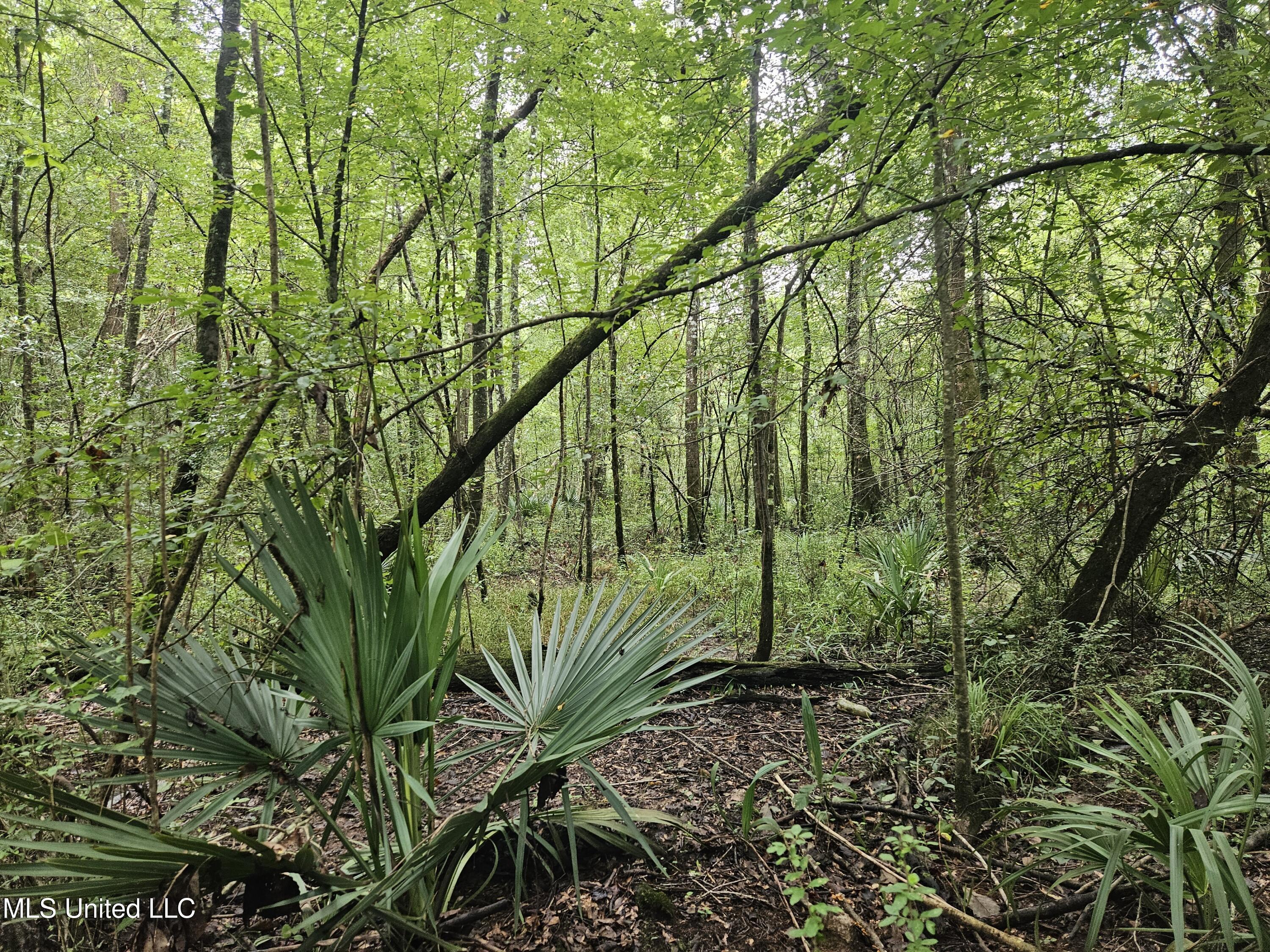 Ms-35 Mount Olive, MS 39119 - Photo 35 of 81 20250830_112450