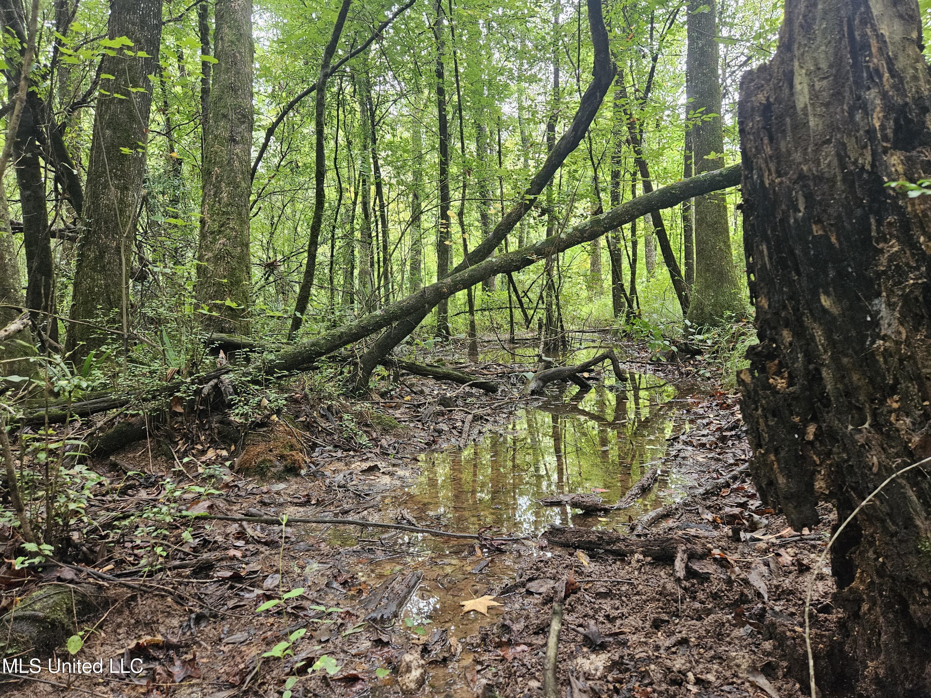 Ms-35 Mount Olive, MS 39119 - Photo 36 of 81 20250830_112533