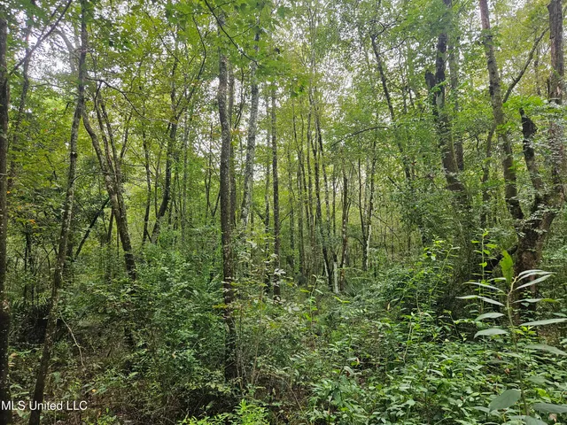 $380,000 | Ms-35, Mount Olive, MS 39119