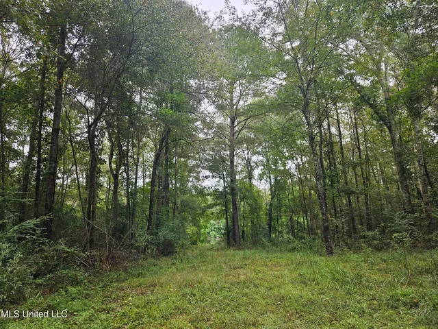 $380,000 | Ms-35, Mount Olive, MS 39119