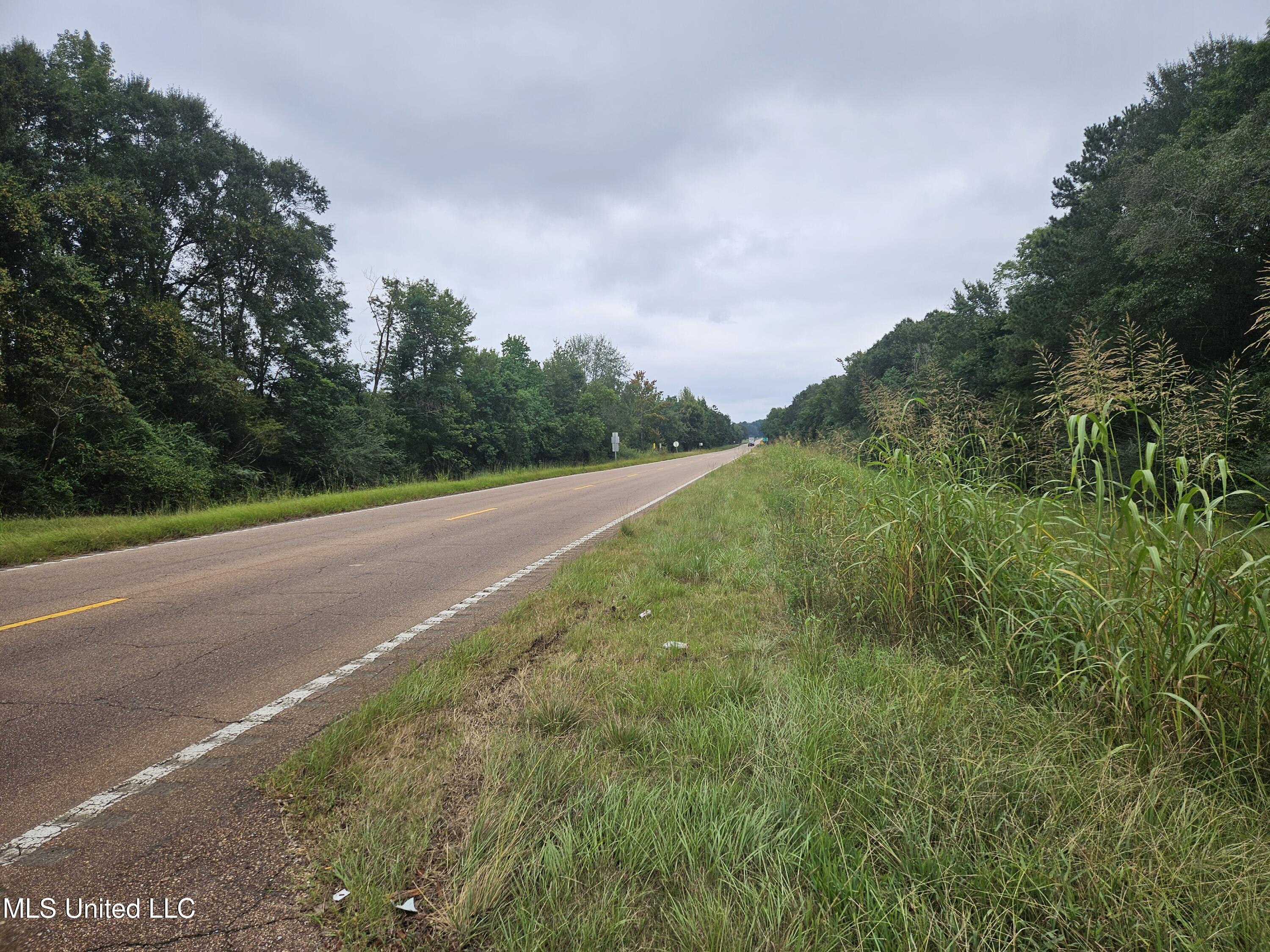Ms-35 Mount Olive, MS 39119 - Photo 43 of 81 20250830_114105
