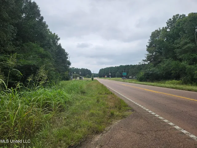 $380,000 | Ms-35, Mount Olive, MS 39119