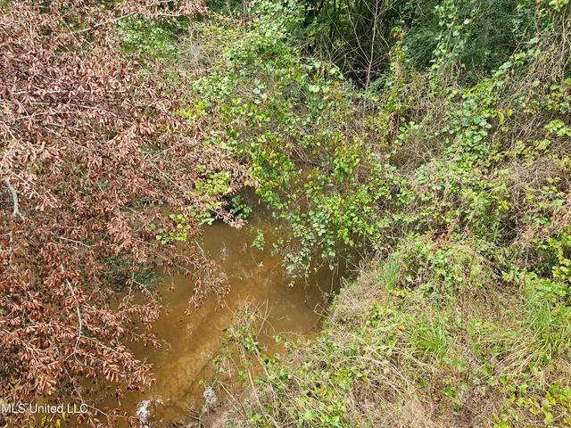 $380,000 | Ms-35, Mount Olive, MS 39119