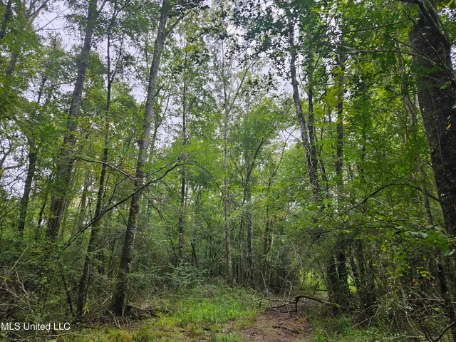 $380,000 | Ms-35, Mount Olive, MS 39119