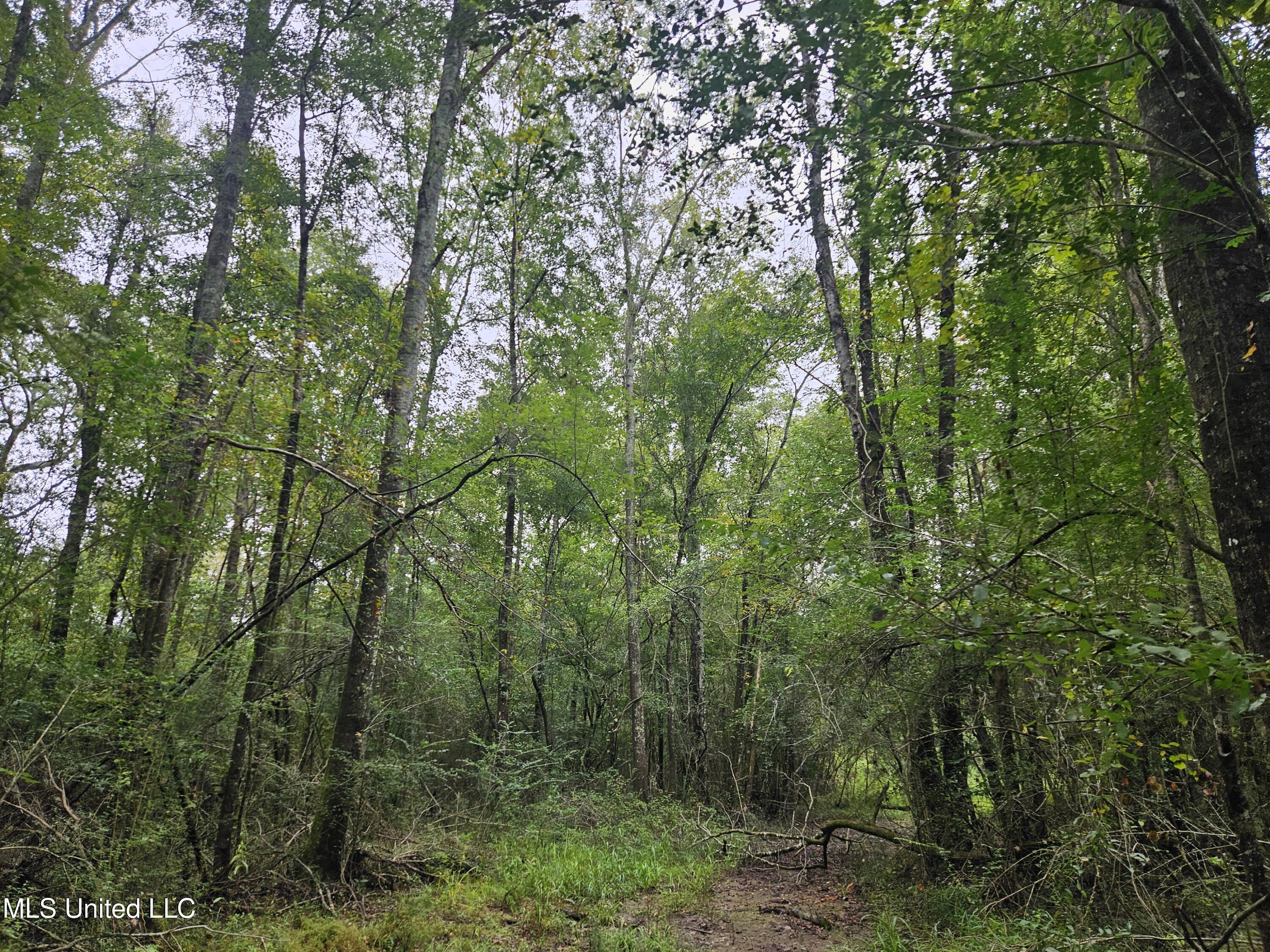 Ms-35 Mount Olive, MS 39119 - Photo 47 of 81 20250830_114849