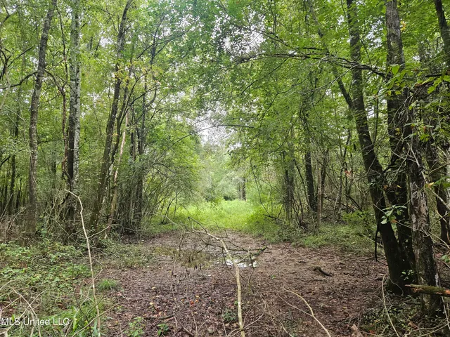 $380,000 | Ms-35, Mount Olive, MS 39119