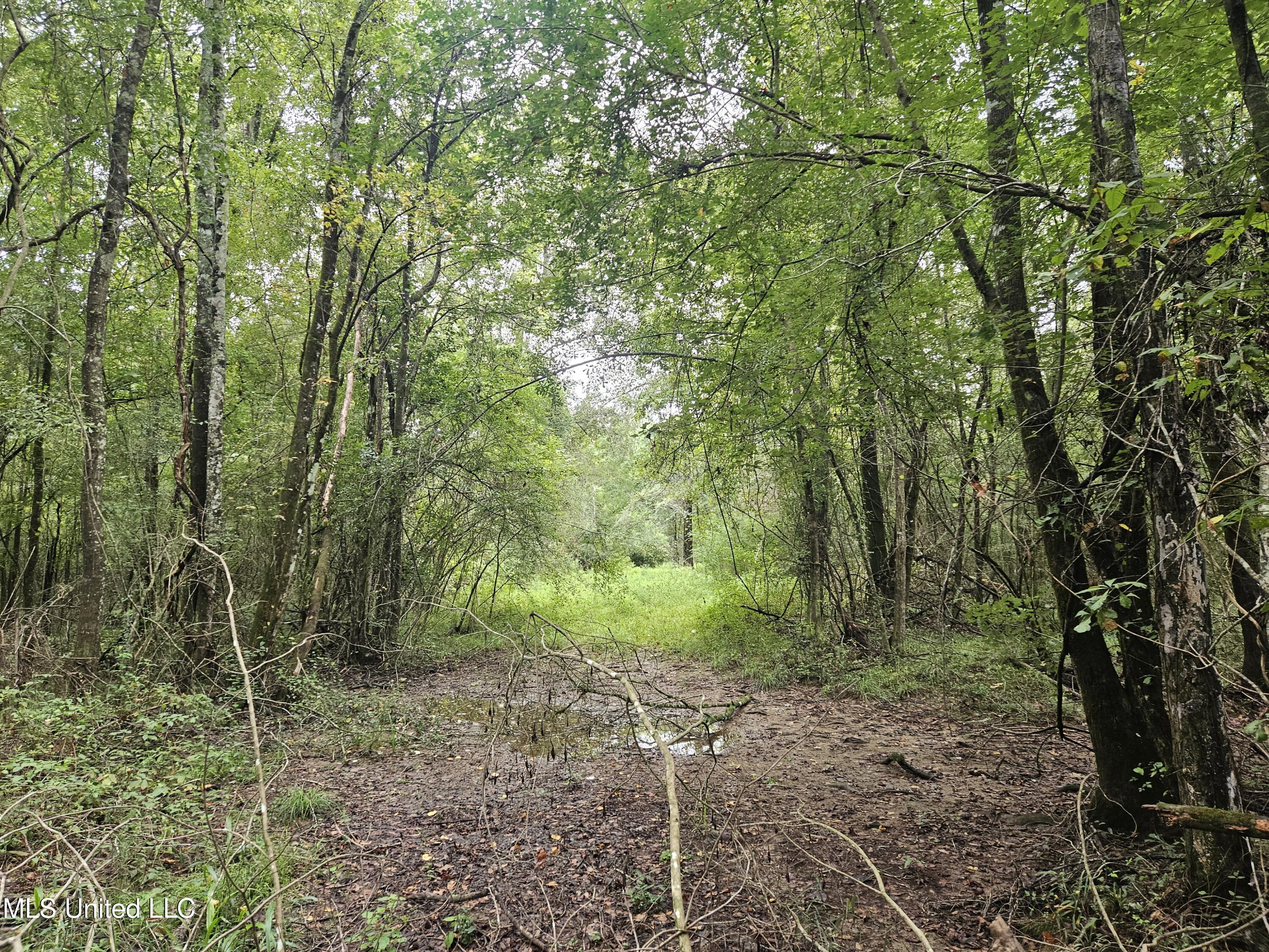 Ms-35 Mount Olive, MS 39119 - Photo 48 of 81 20250830_114904