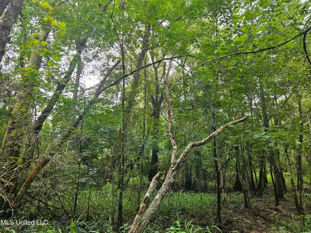 $380,000 | Ms-35, Mount Olive, MS 39119