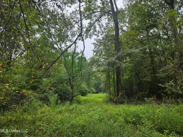 $380,000 | Ms-35, Mount Olive, MS 39119