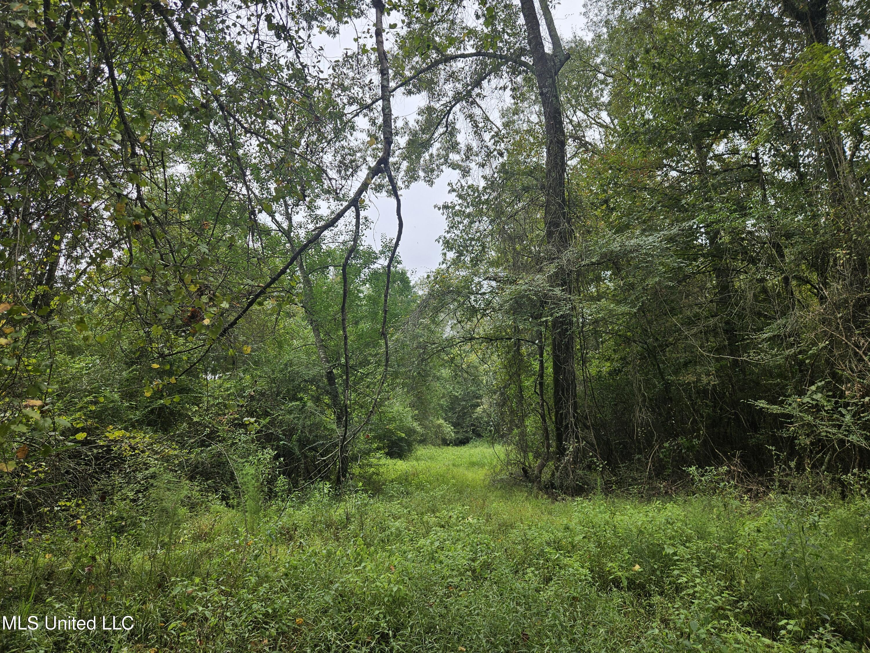 Ms-35 Mount Olive, MS 39119 - Photo 52 of 81 20250830_115602