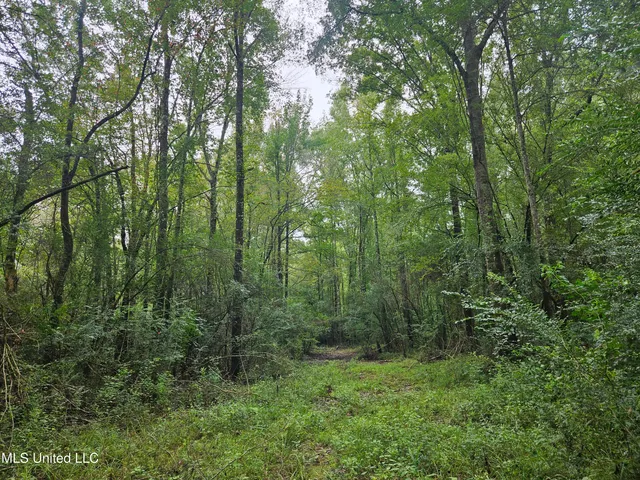 $380,000 | Ms-35, Mount Olive, MS 39119