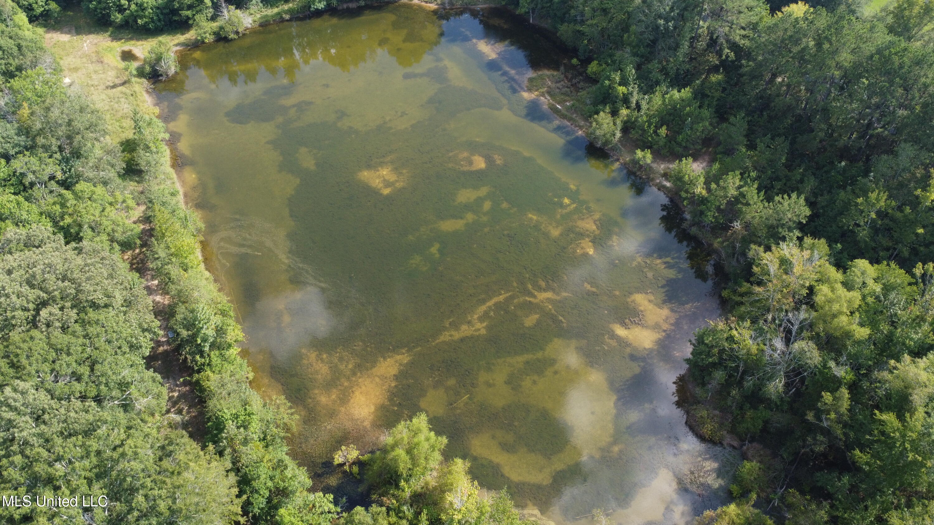 Ms-35 Mount Olive, MS 39119 - Photo 55 of 81 DJI_0506