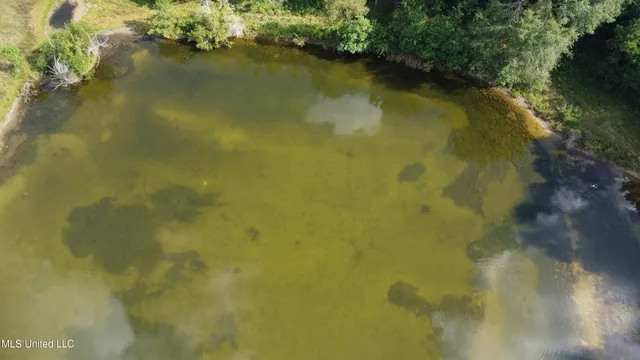 $380,000 | Ms-35, Mount Olive, MS 39119