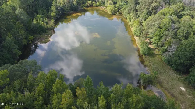 $380,000 | Ms-35, Mount Olive, MS 39119